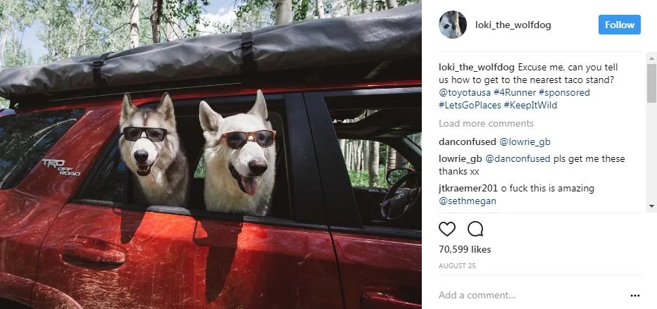 popular dogs on Instagram