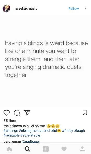 Sibling memes