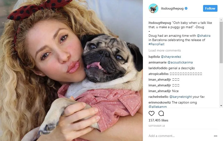 popular dogs on Instagram