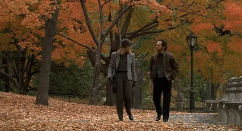 fall, autumn, leaves, when harry met sally, foliage, walk in the park Gif  For Fun – Businesses in USA