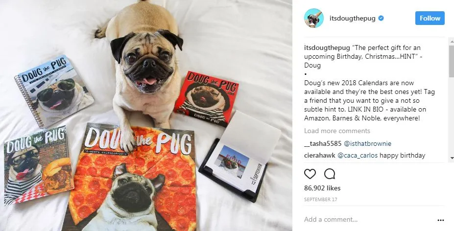 popular dogs on Instagram