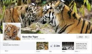 save the tiger