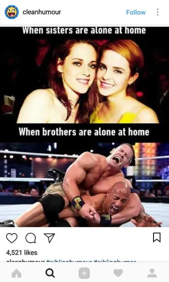 Sibling memes