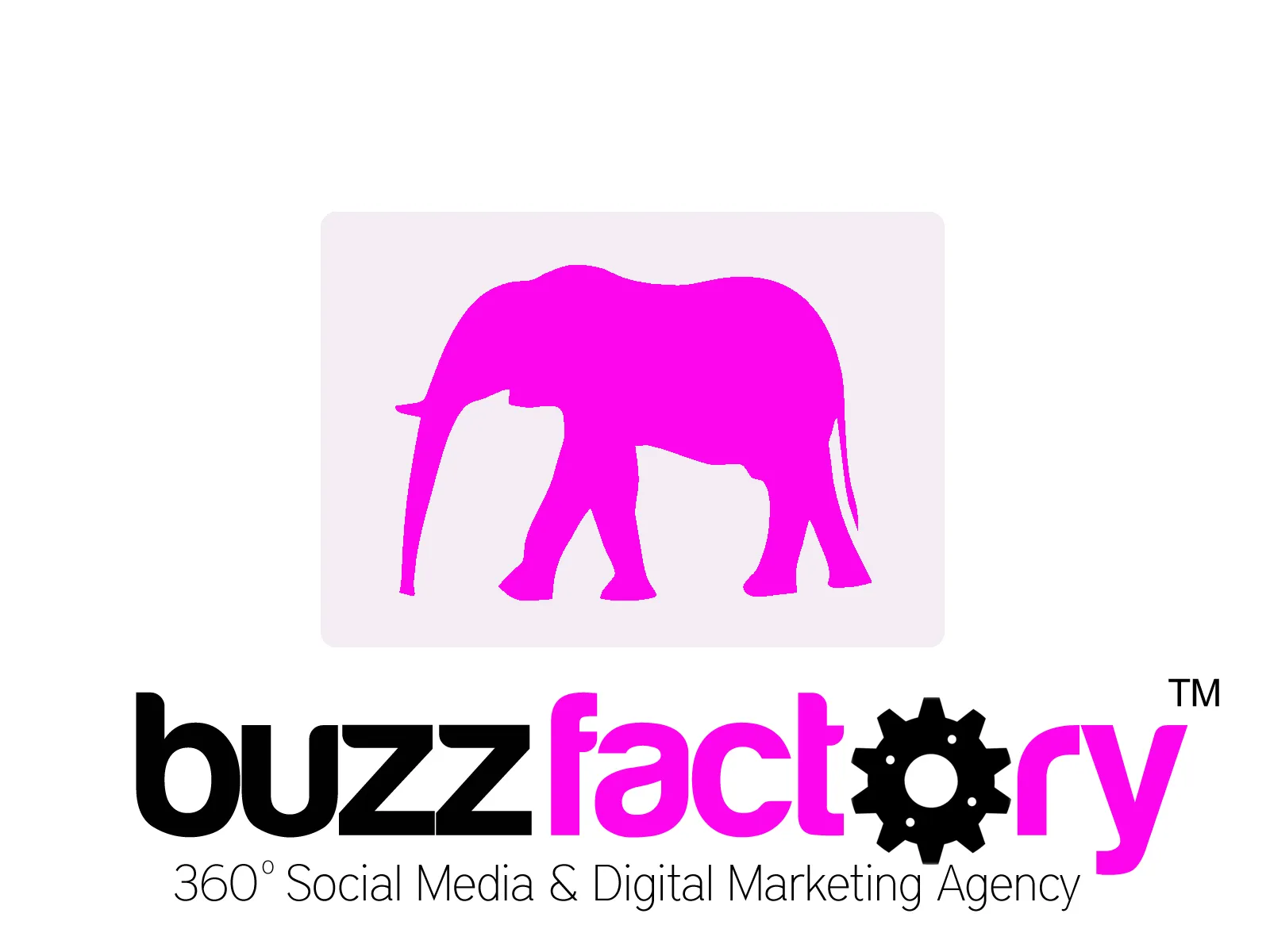 Buzzfactory Interactive Pvt Ltd copy