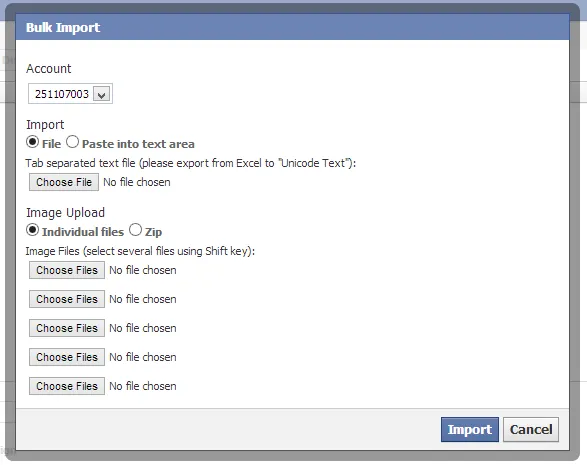 Bulk-import Facebook Power editor