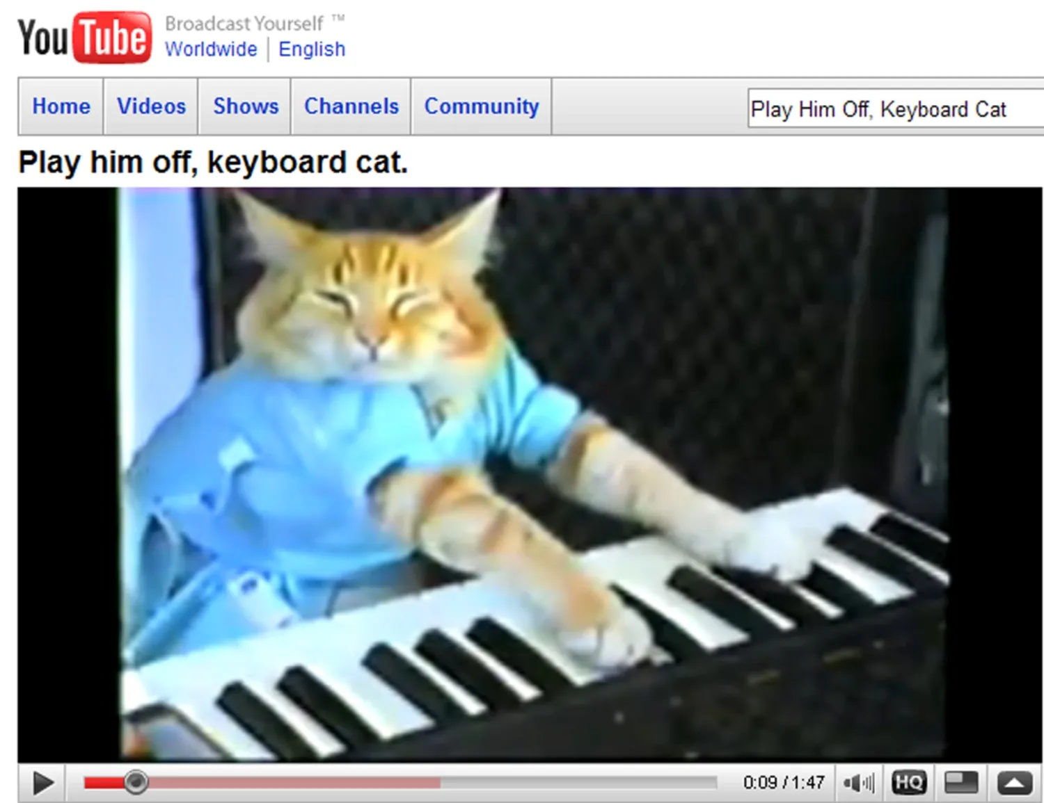 Keyboard Cat' takes Web, TV by storm