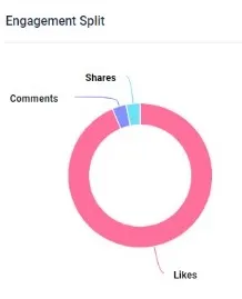 Prega News Facebook Engagement Split