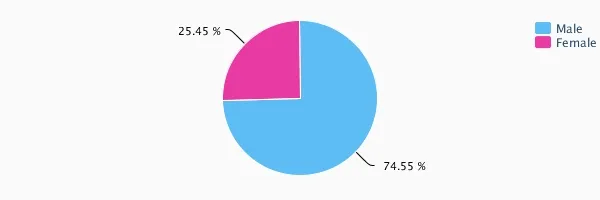 Lenovo India Audience Analysis