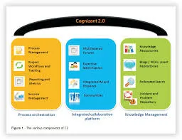 Cognizant 2