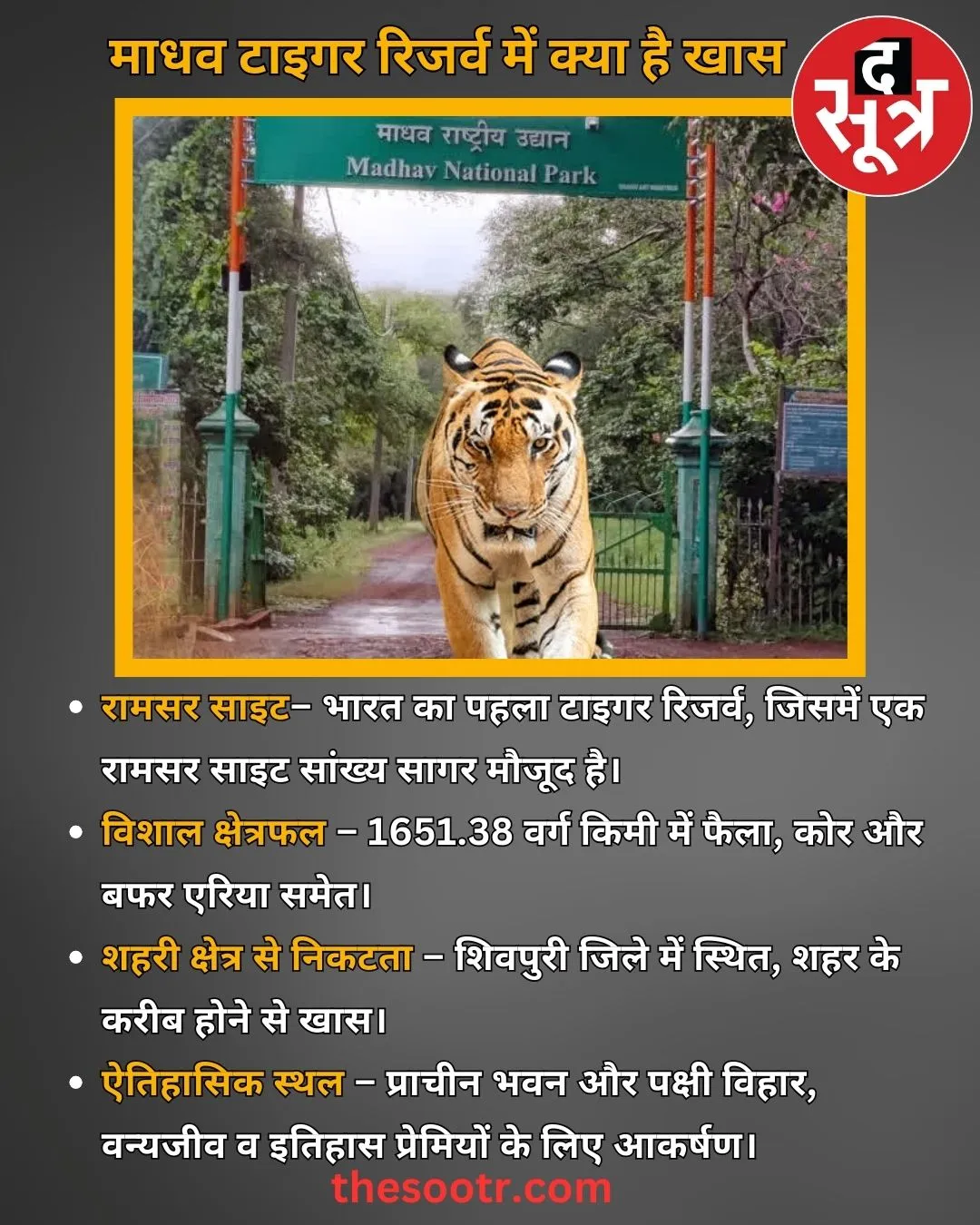 mp tiger reserve