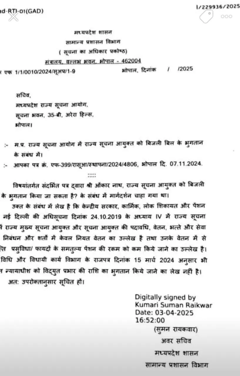mp news
