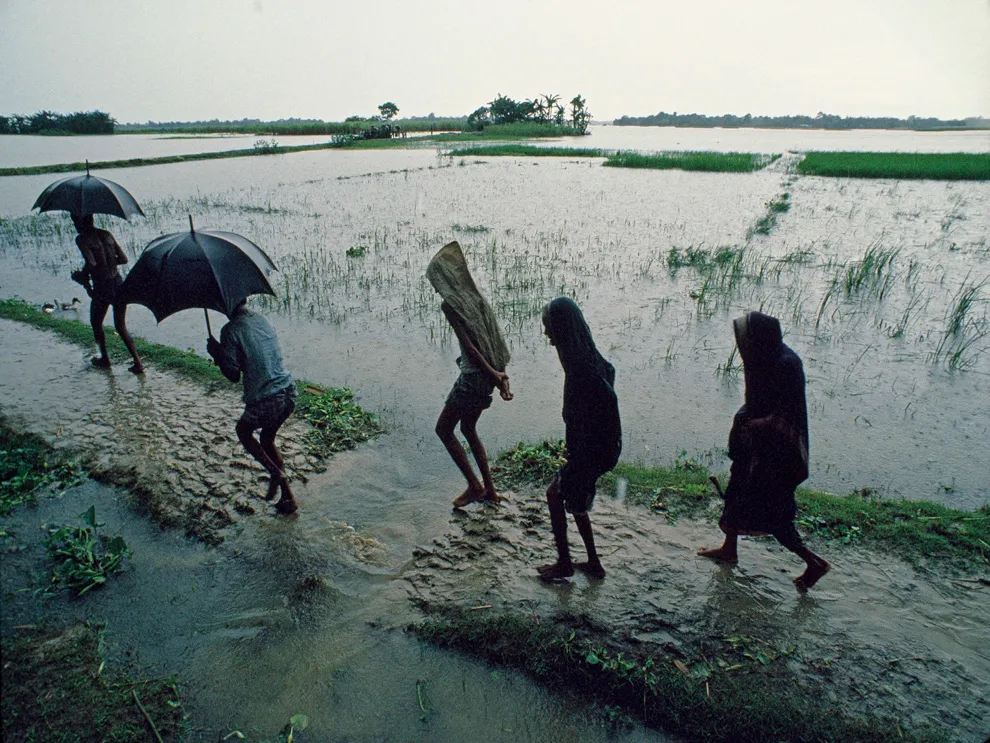 mansoon walk 