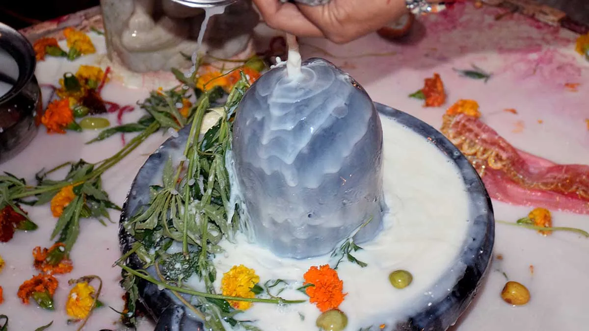 Significance Of Offering Milk To Lord Shiva | शिवलिंग पर दूध कैसे चढ़ाएं |  Shivling Par Doodh Chadhane Ke Fayde