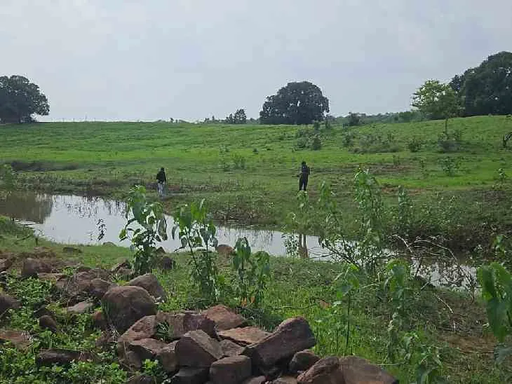 आशापुरी गांव के पास स्थित तालाब के पिछले हिस्से में नाले नुमा इस पठार में बाघ का कंकाल 14 जुलाई 2024 को वन अमले को मिला था।