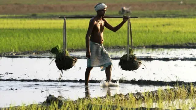 2016: भारत के सामने मौजूद पांच चुनौतियां - BBC News हिंदी