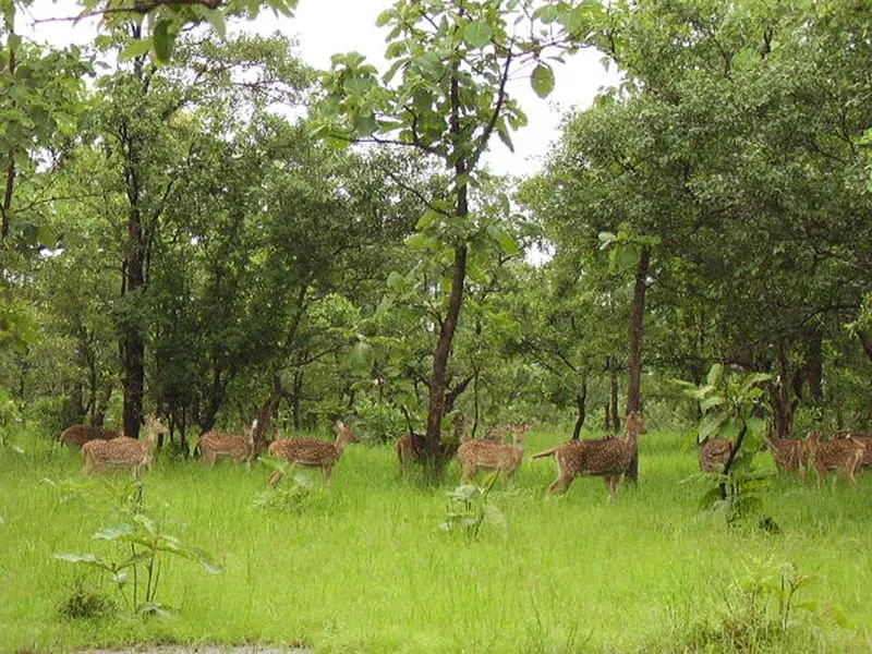 पन्ना की खूबसूरती