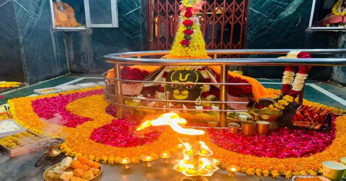 चमत्कार या कुछ और! बुद्धेश्वर महादेव मंदिर में श्रद्धालु की तरह रोज दंडवत  प्रणाम करने आता है बन्दर, देखें वीडियो - miracle or something monkey comes  to ...