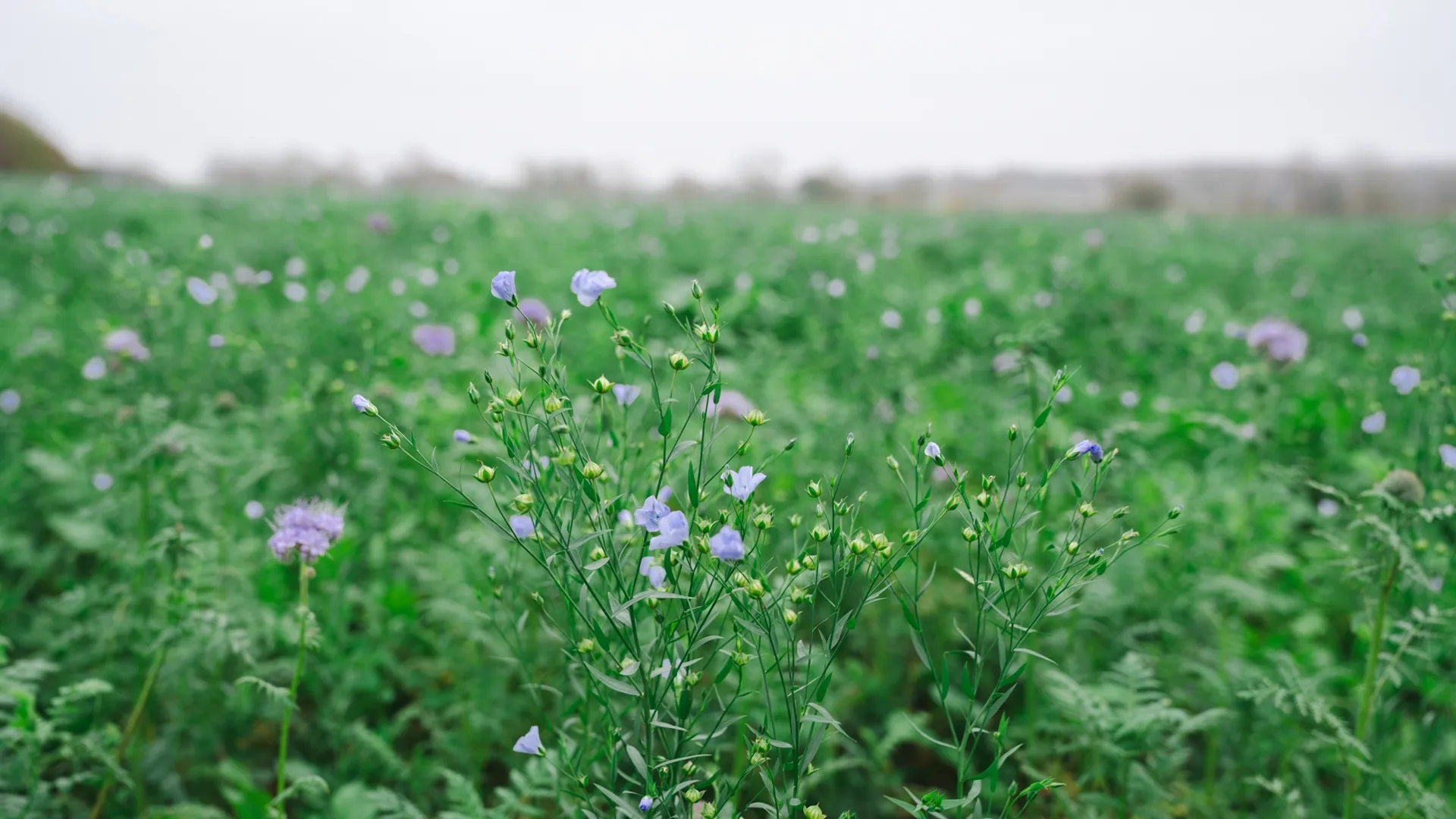 regenerative-farming-field-trip-47-1