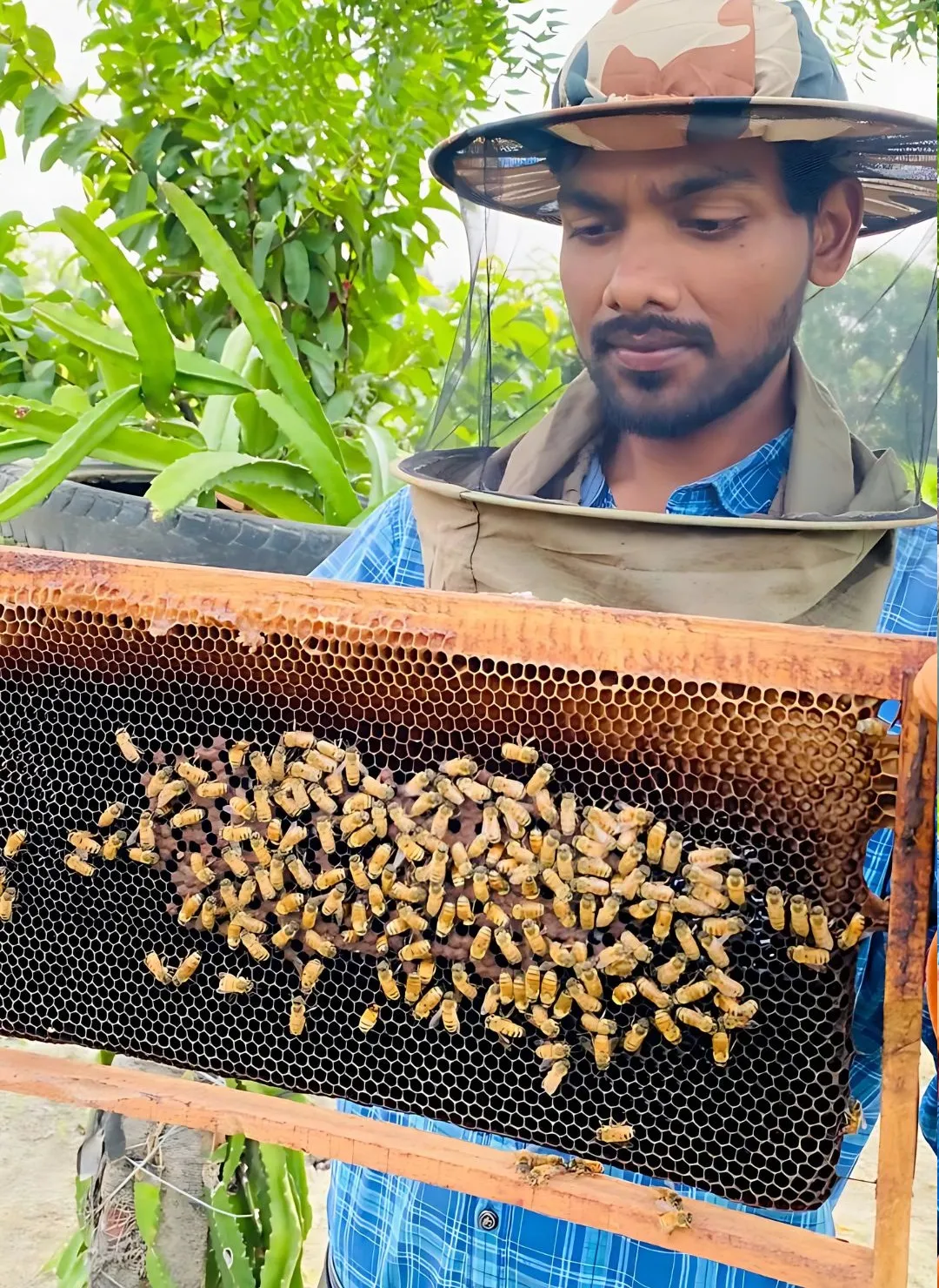 honey and other