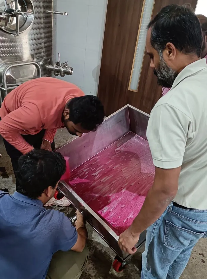 making Of myne wine