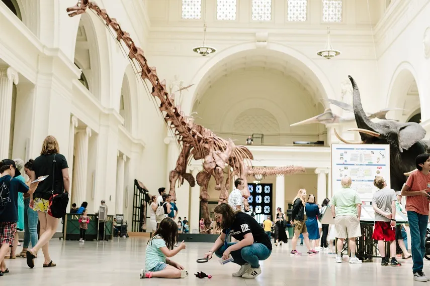 field-museum-stanley-field-hall