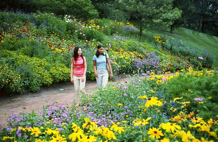 chicago-botanic-garden