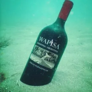 publive-image