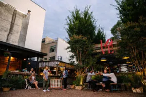 publive-image