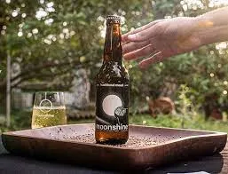 publive-image