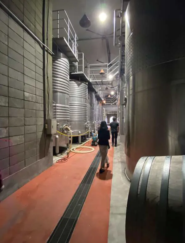 publive-image
