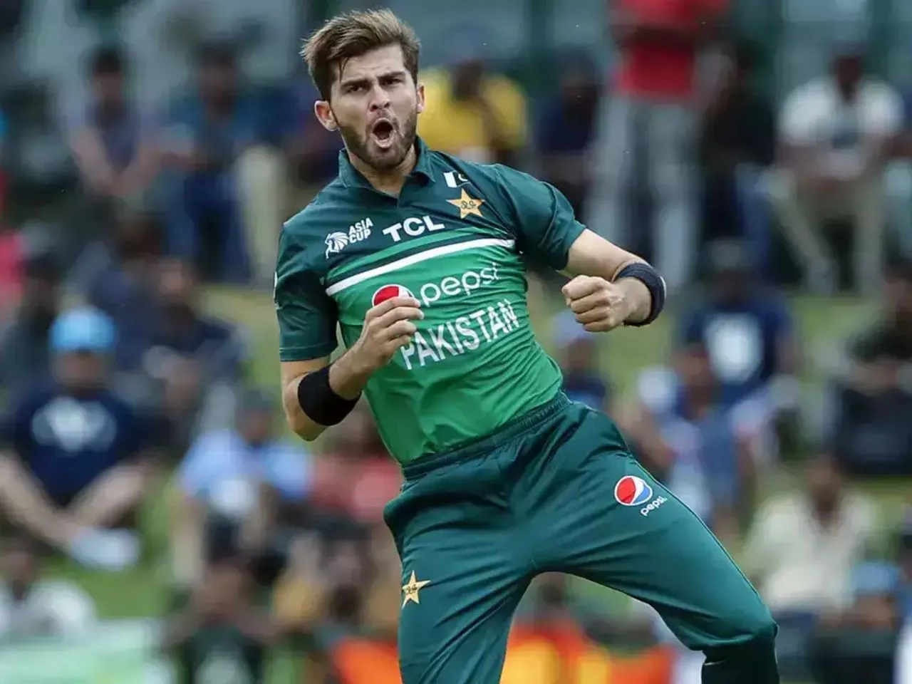 Shaheen Shah Afridi (Source: X)