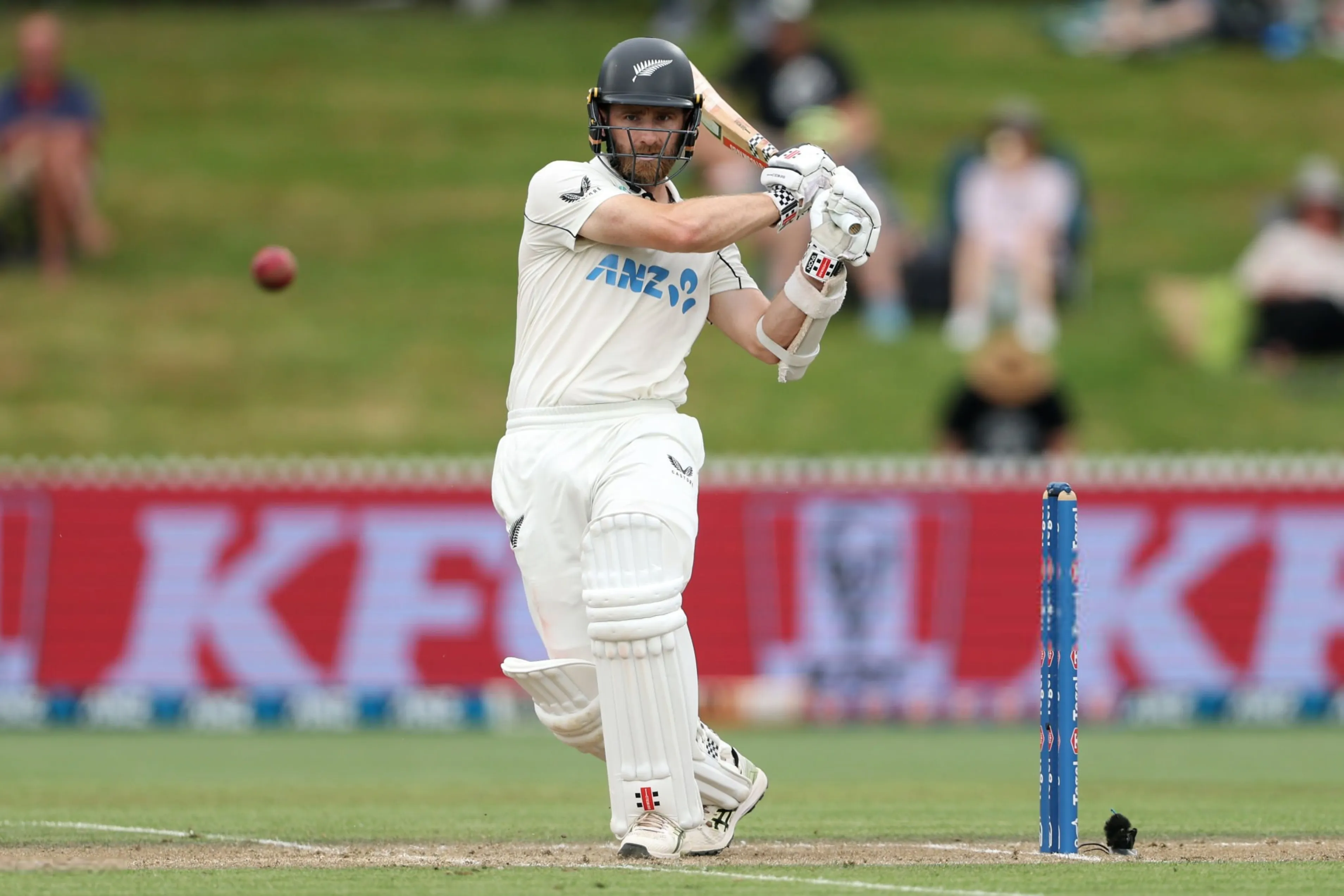 Kane Williamson (File Photo: X)