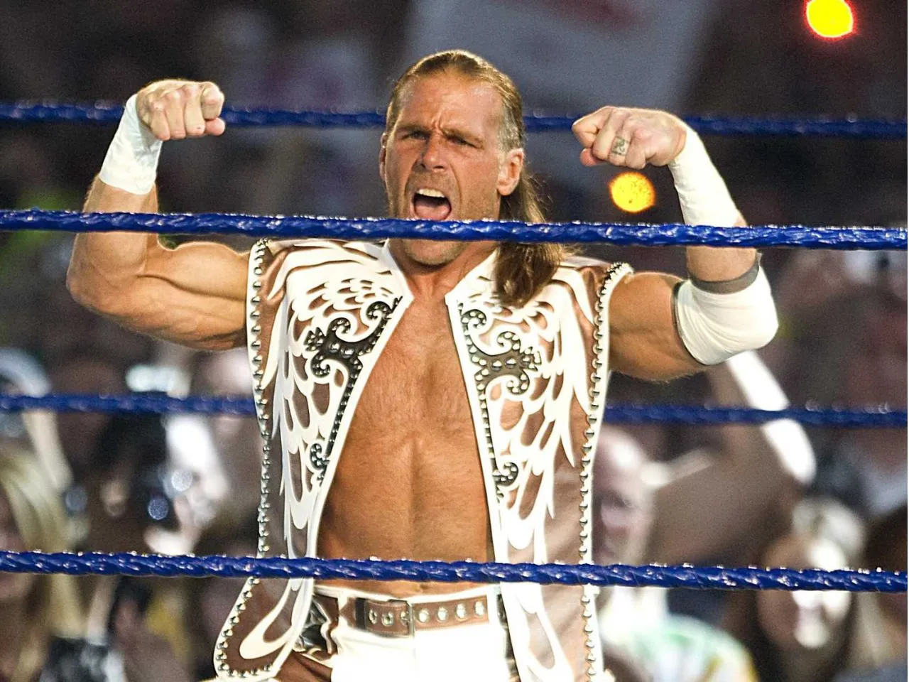 Shawn Michaels won the Royal Rumble in 1995 and 1996