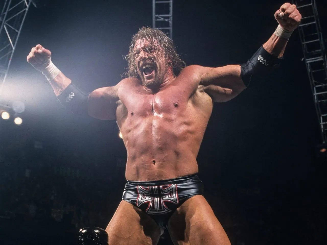 Triple H eliminated Roman Reigns in the Men's Royal Rumble 2016 match