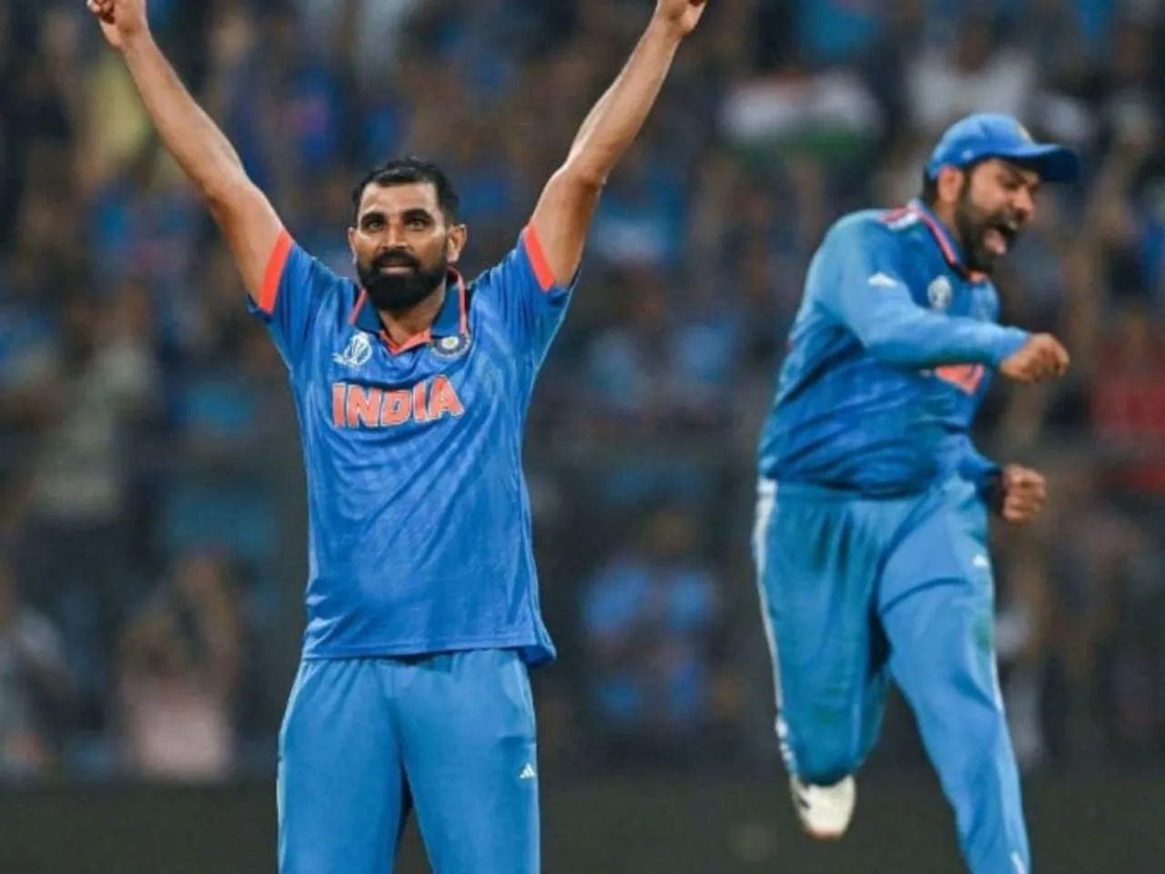 Mohammed Shami wickets in ODI World Cup