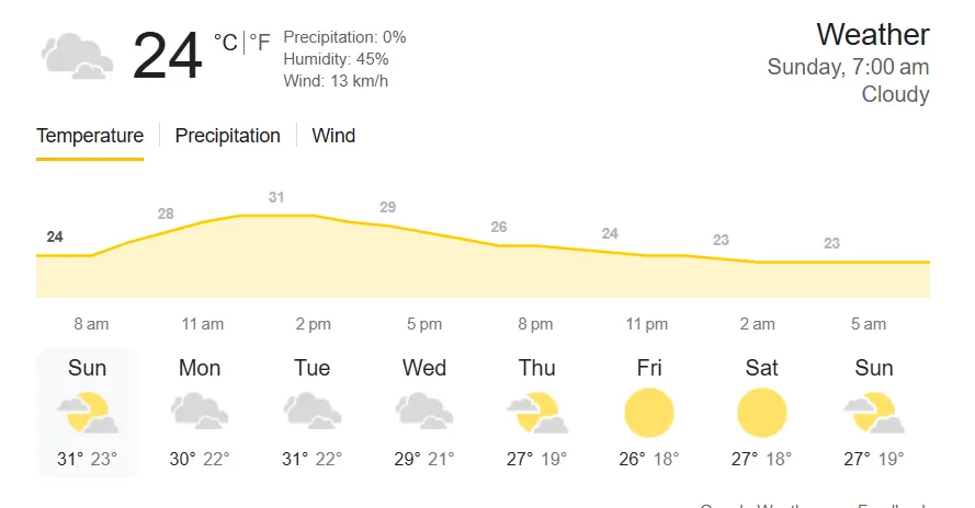 Ind vs NZ Weather report for ICC Champions Trophy 2025 Final 