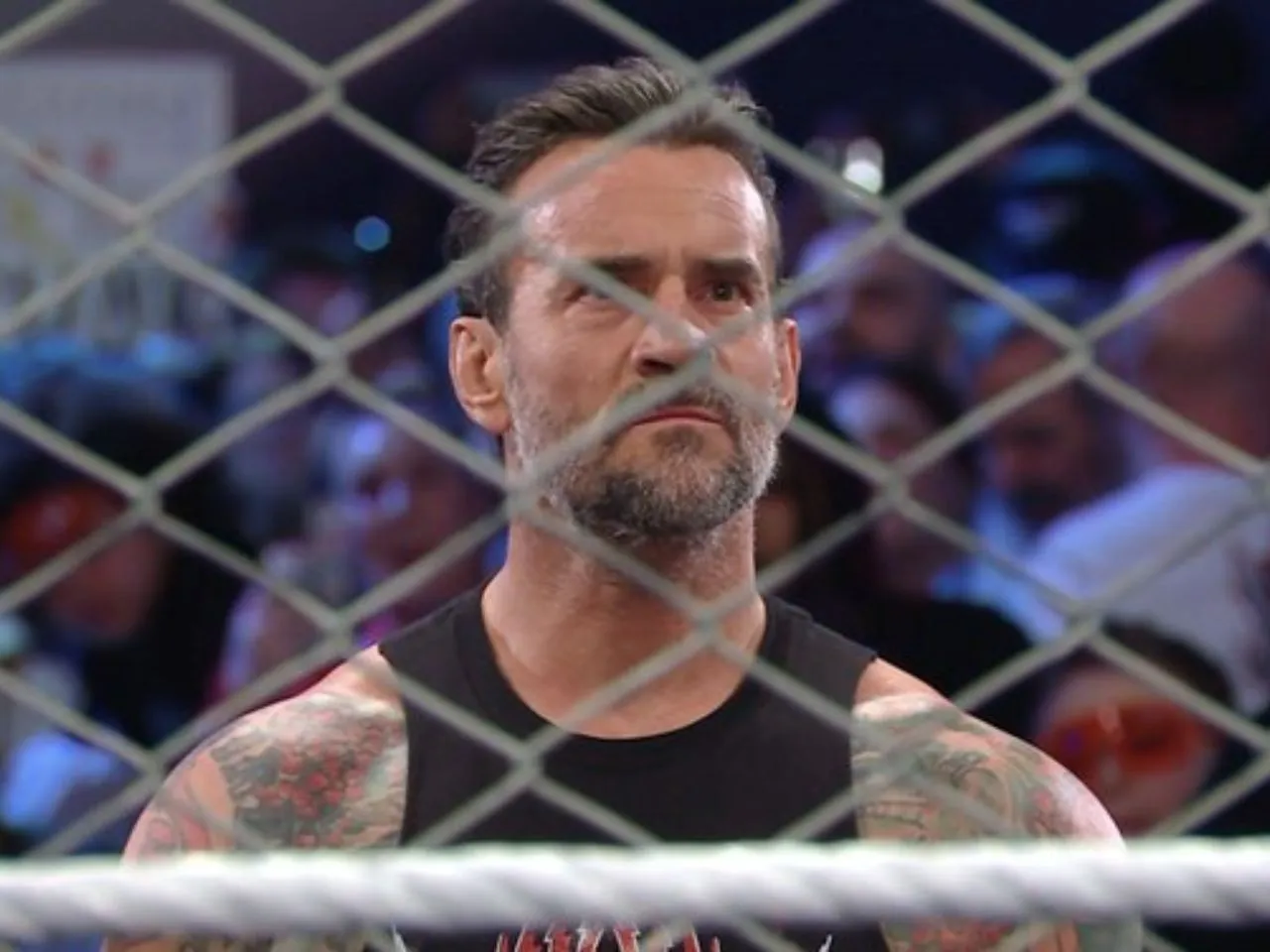 Roman Reigns vs. CM Punk