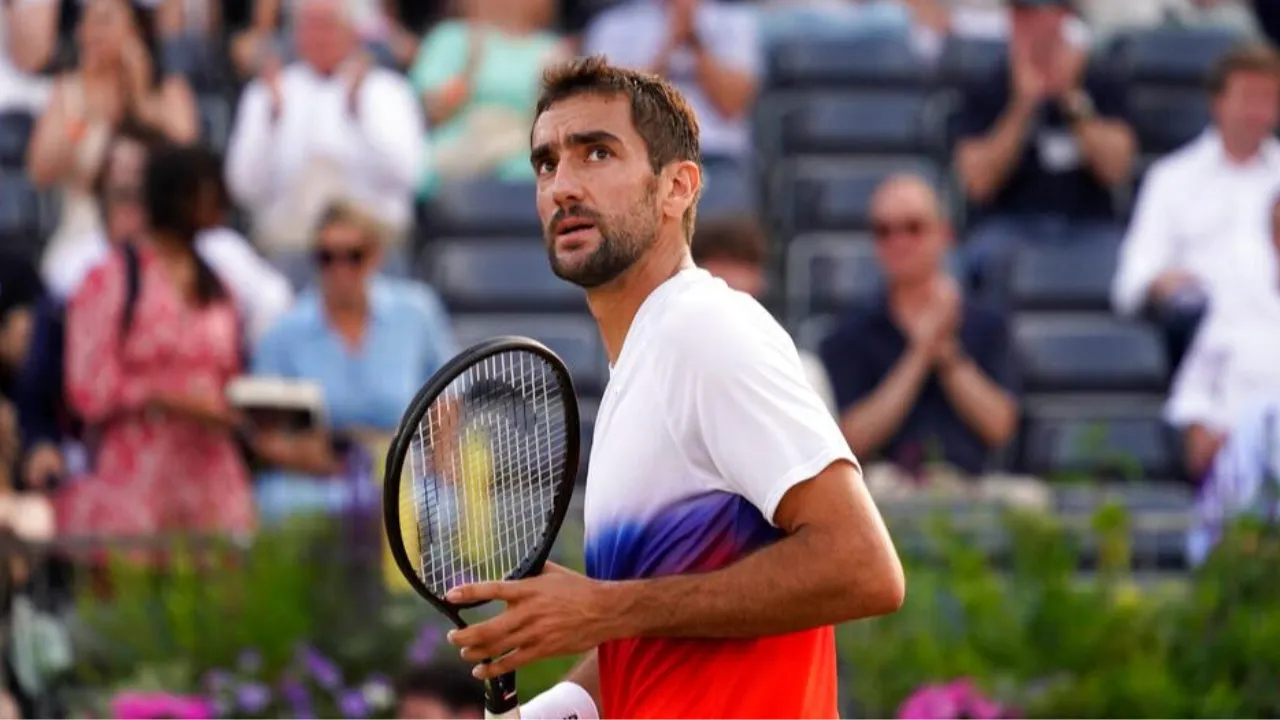 cilic