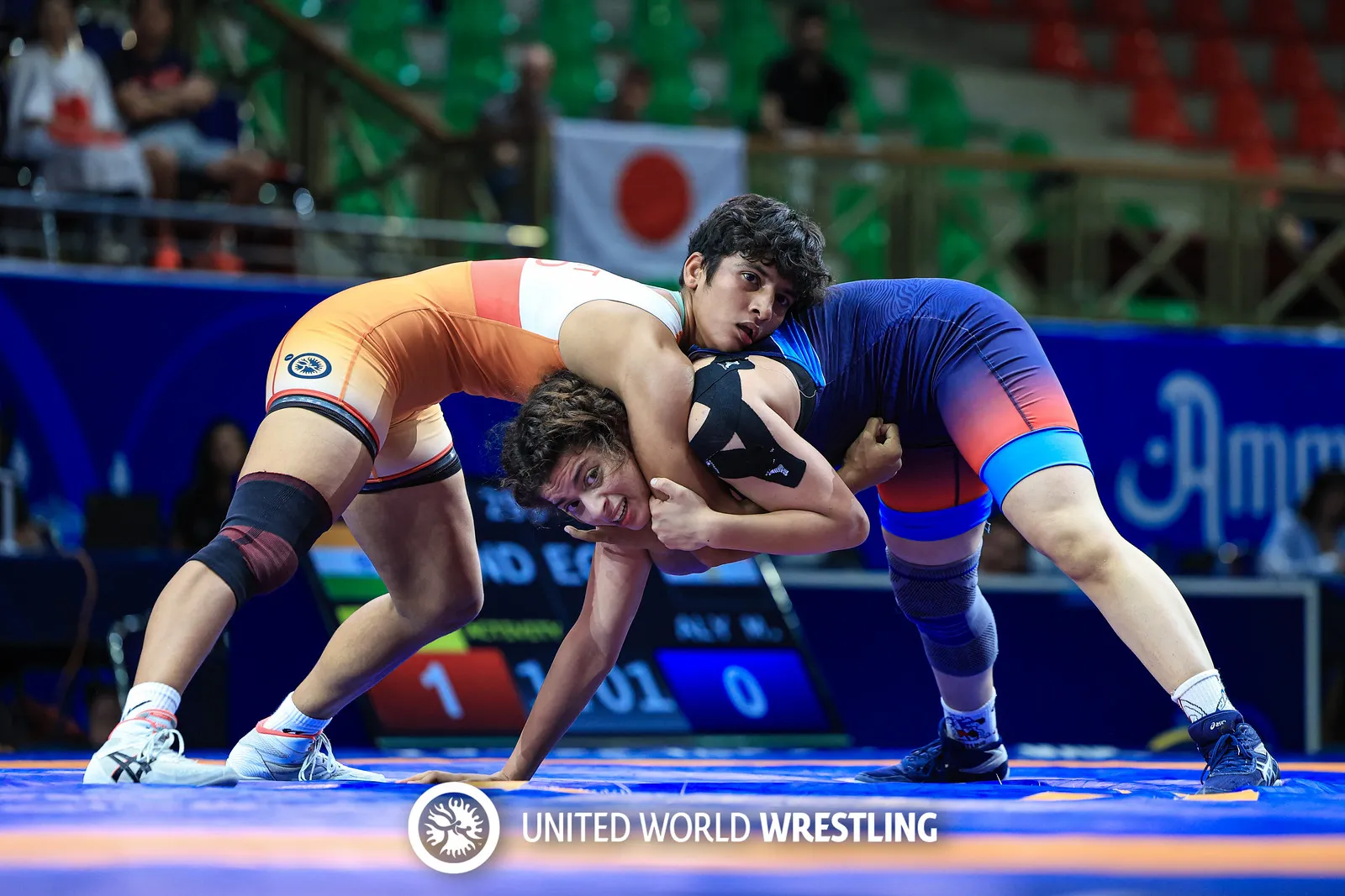 U17 Wrestling World Championships 2024 - Pulkit wins gold medal in 65kg women's freestyle category - sportzpoint.com