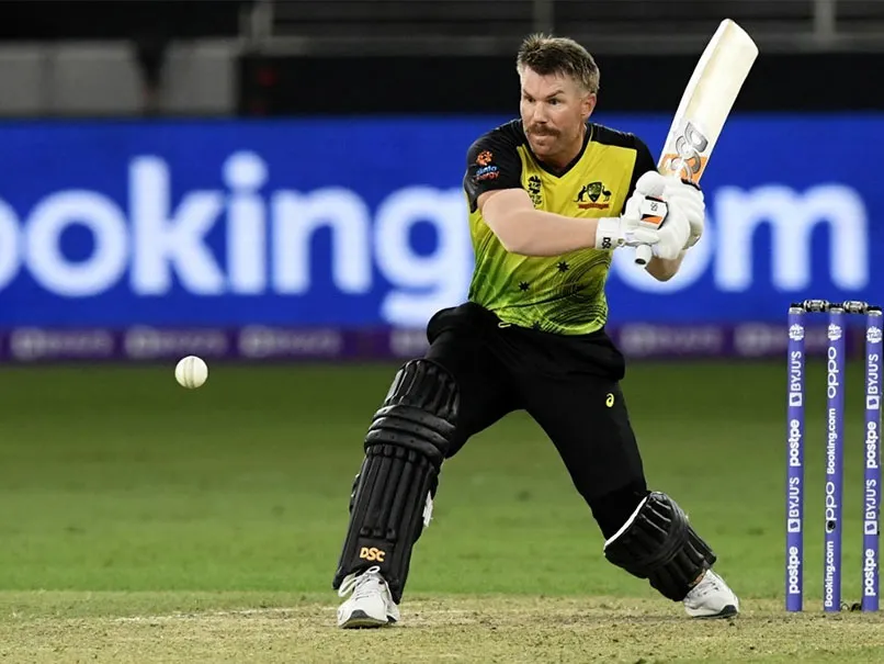 David Warner in T20 Cricket | SportzPoint.com