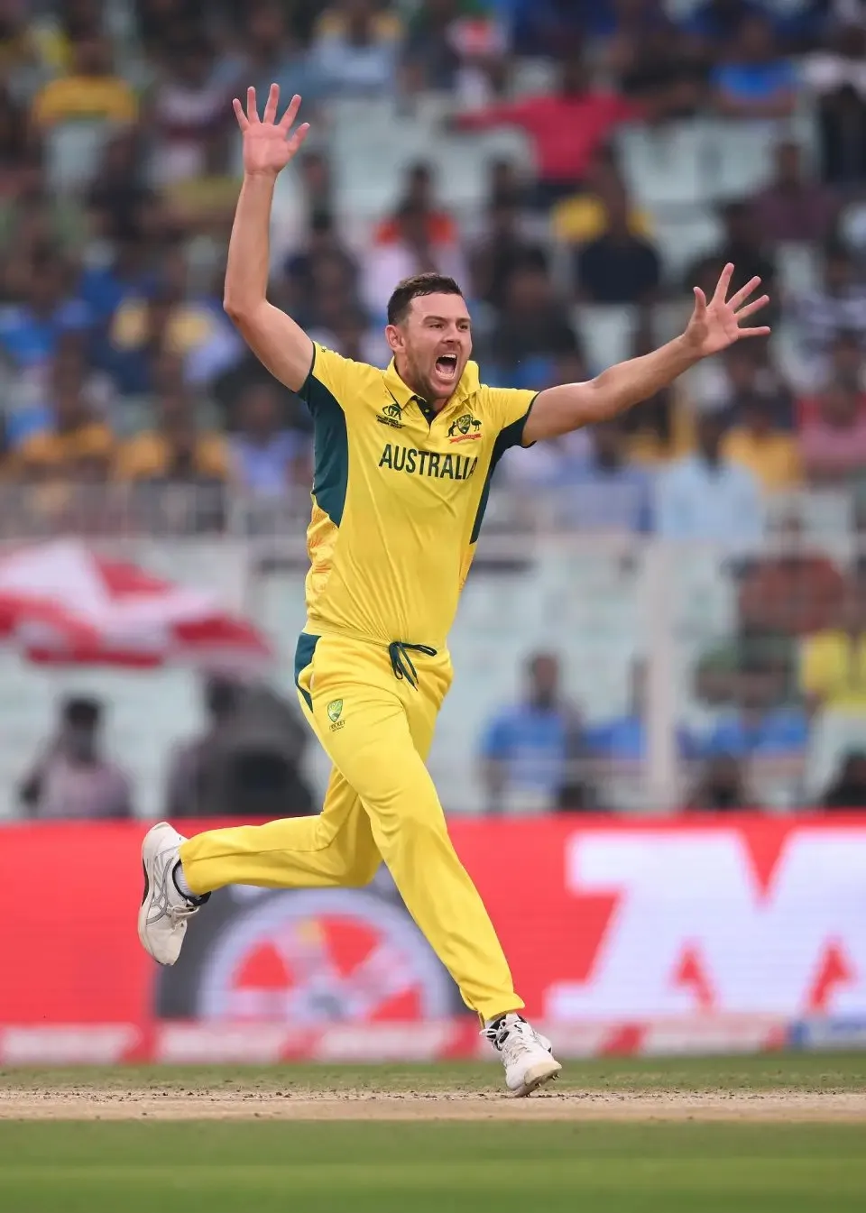 Hazlewood is showing his class in the powerplay  ICC via Getty Images