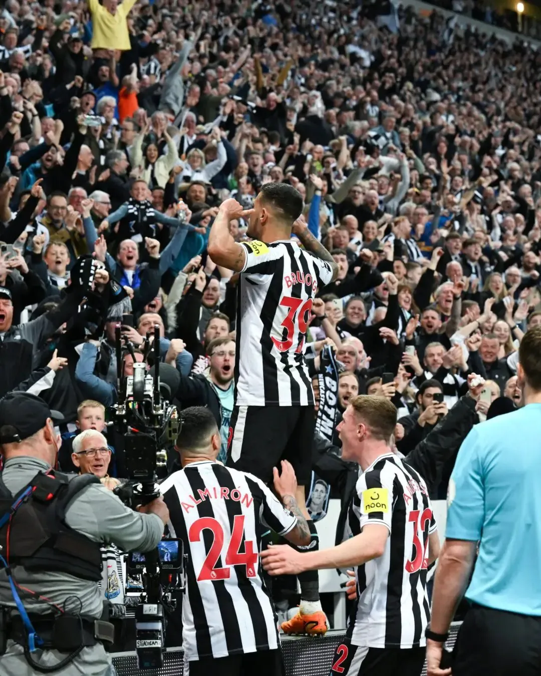 Newcastle vs Brighton | Sportz Point. 