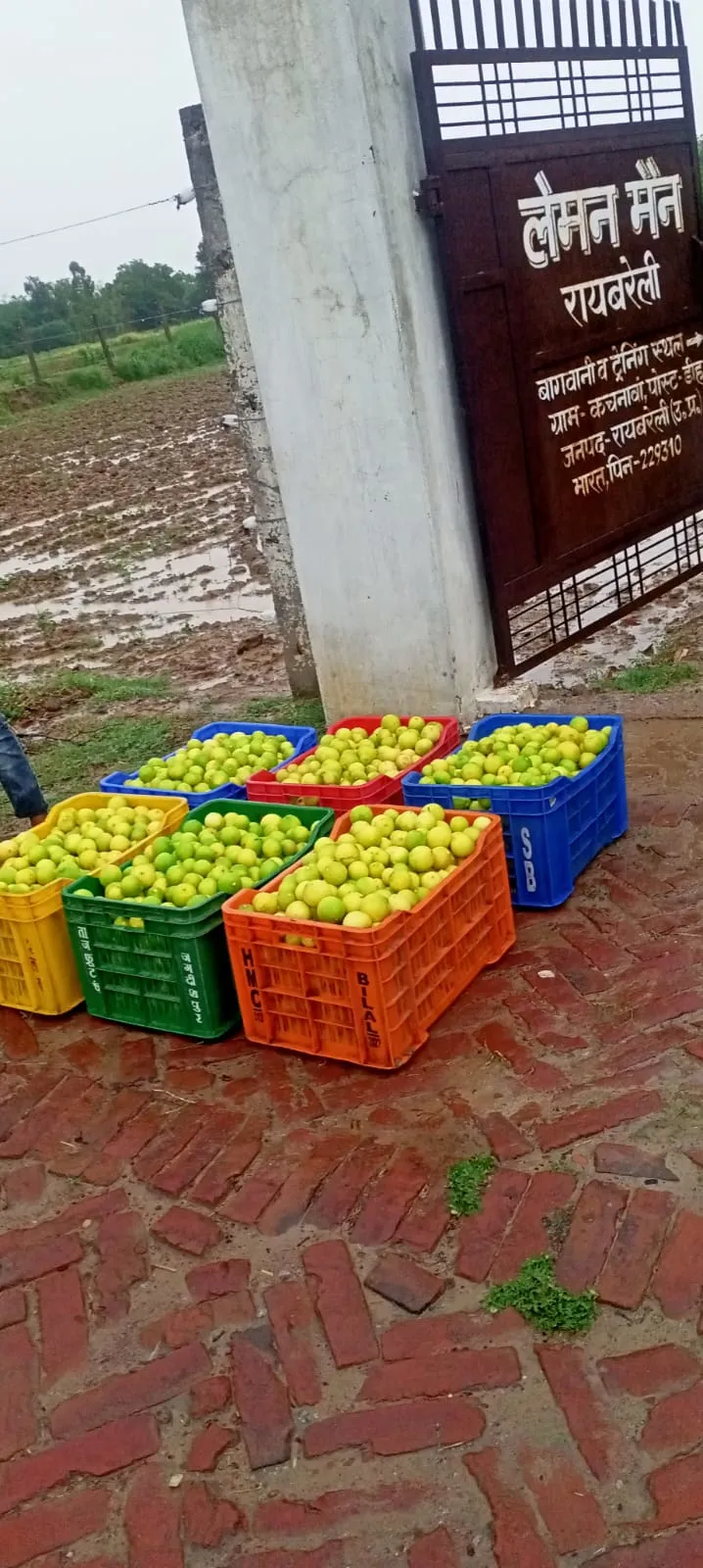 farm