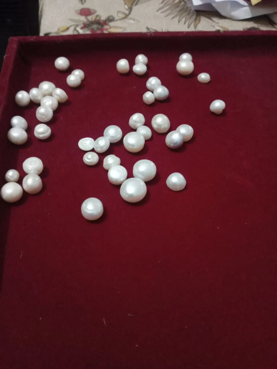 Pearl Farming
