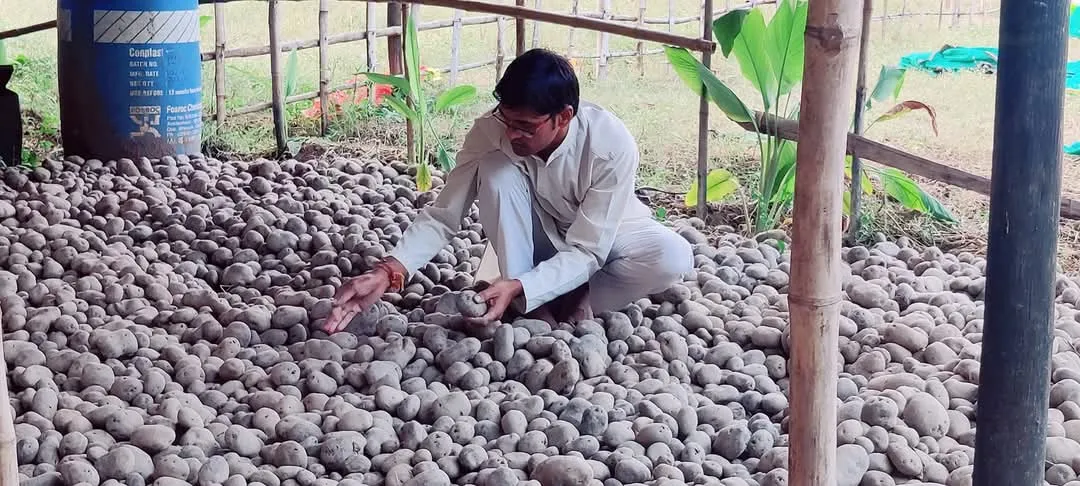 farmer