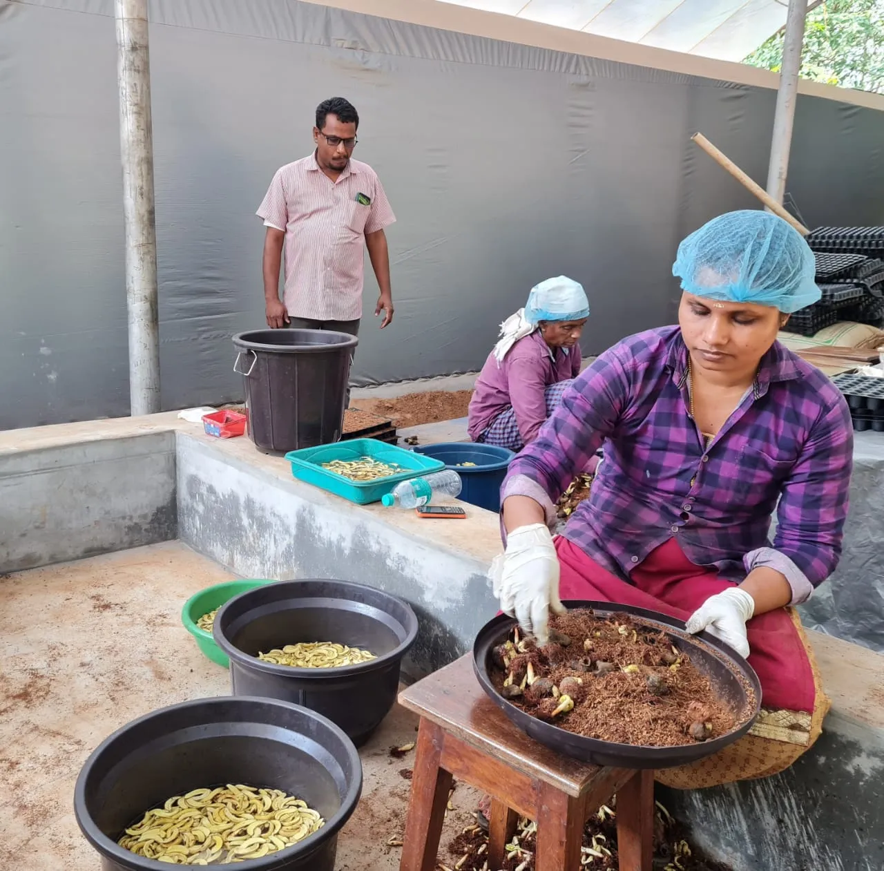 Eatery Malbarikas Team