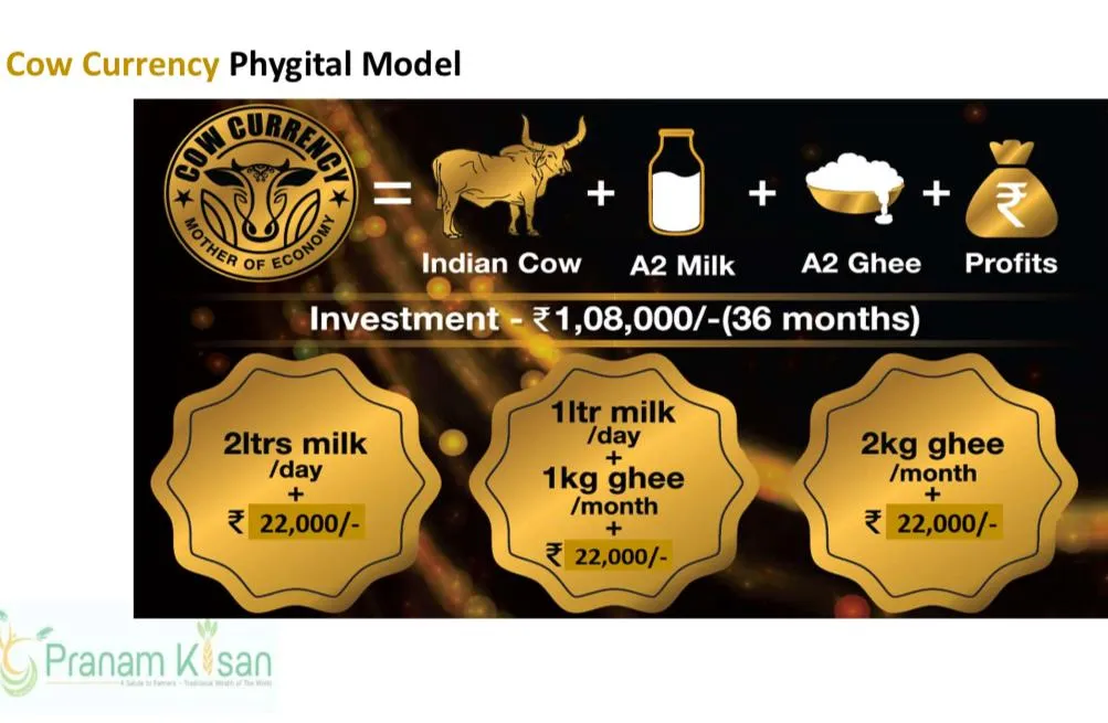 cow currency