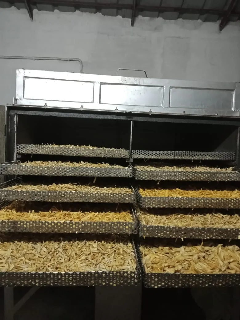 Jackfruits getting processed