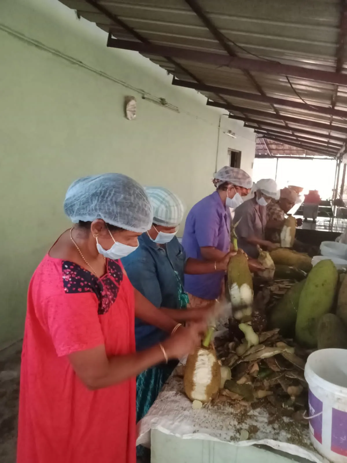 Workers at Eden Jackfruit Products