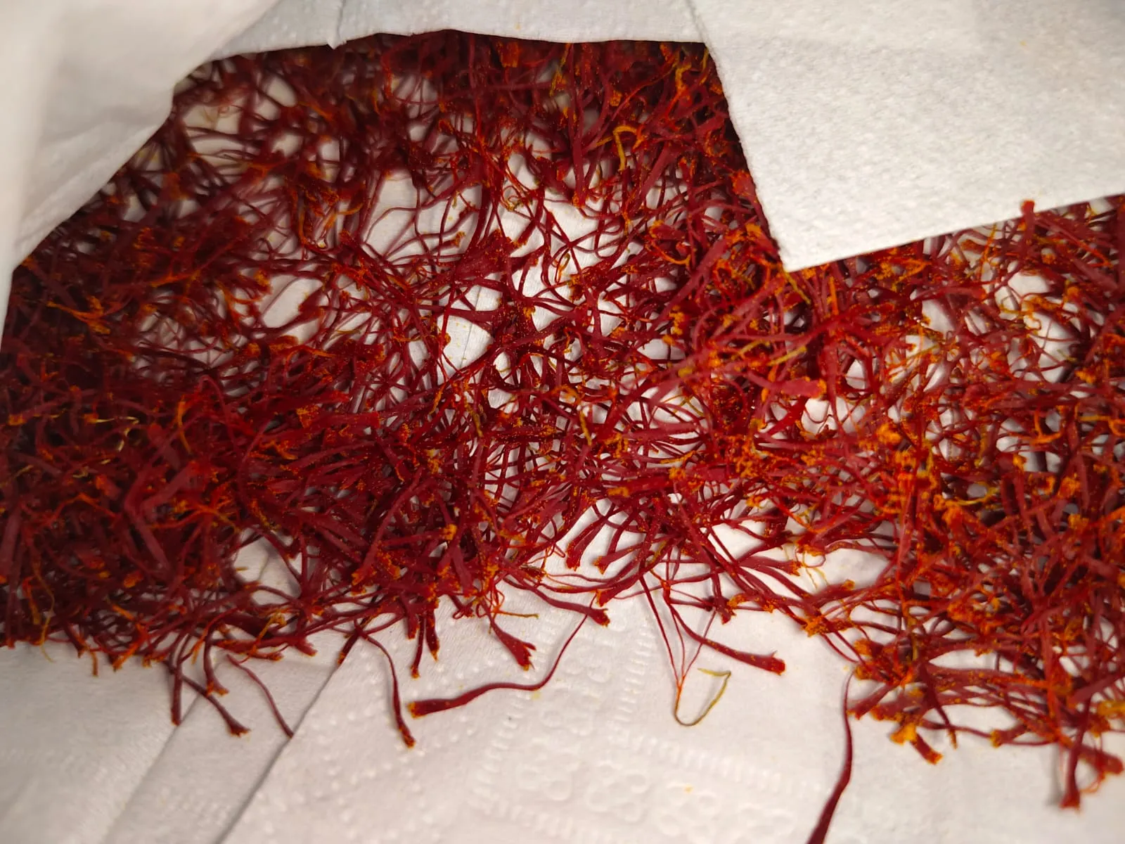 saffron
